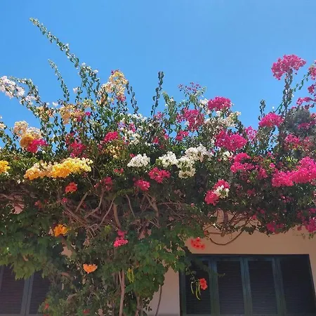 Casa Sala - Boutique Collection * Olhão